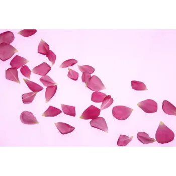 Dry Rose Petals
